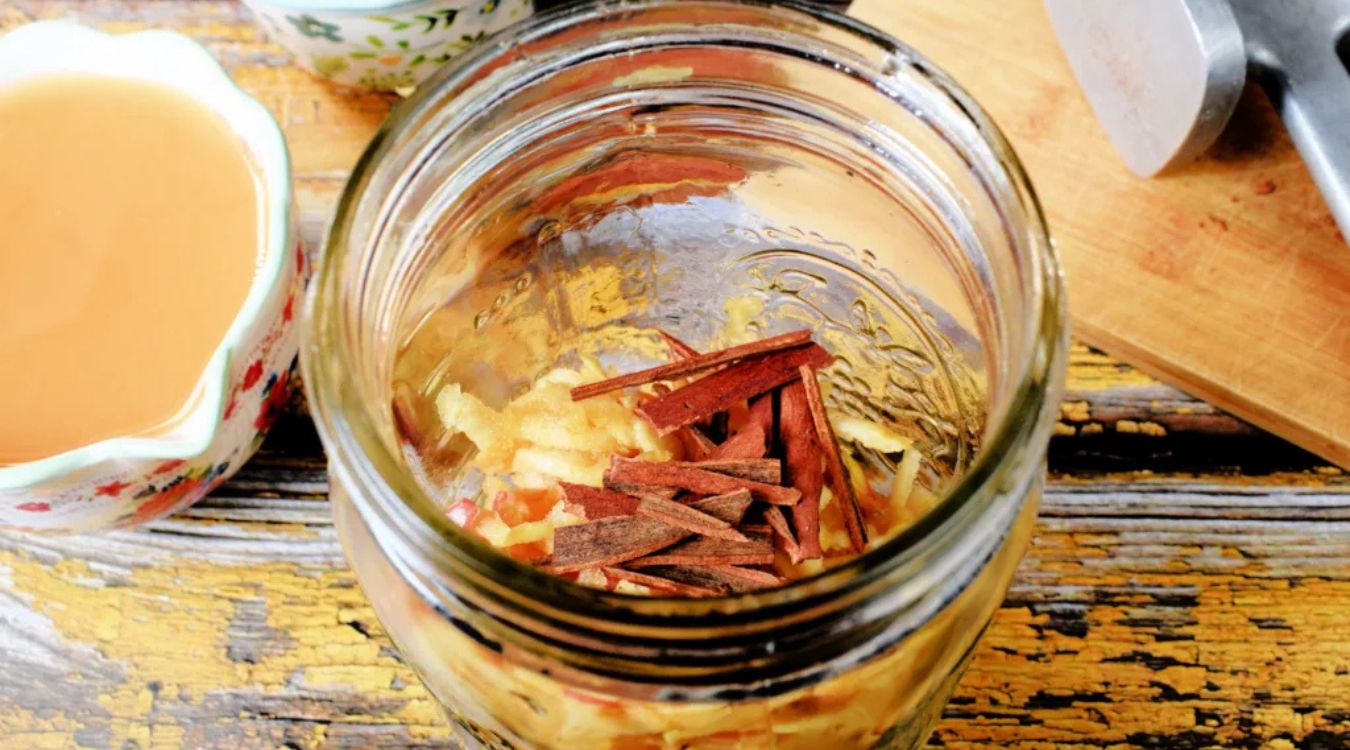 cinnamon-apple-shrub-recipe