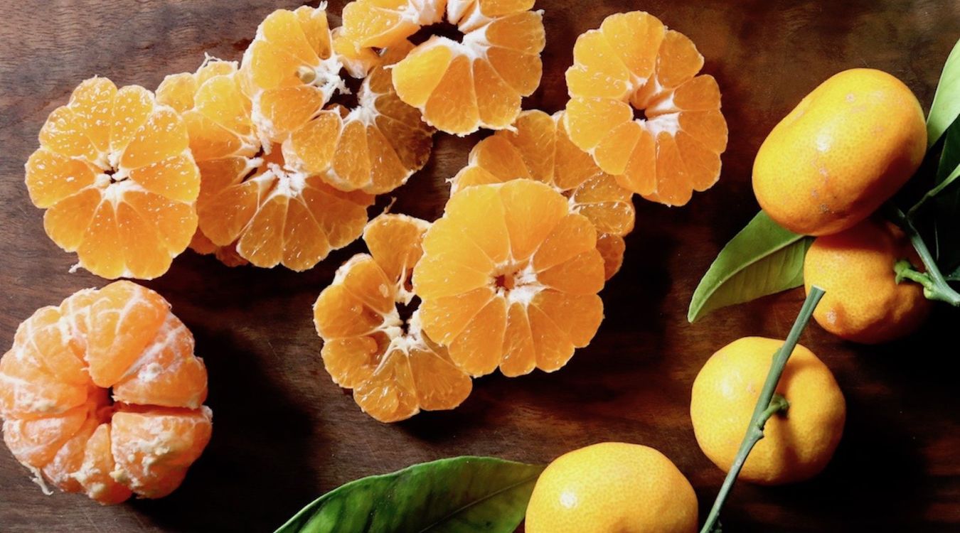 satsuma-mandarin-gimlet-recipe
