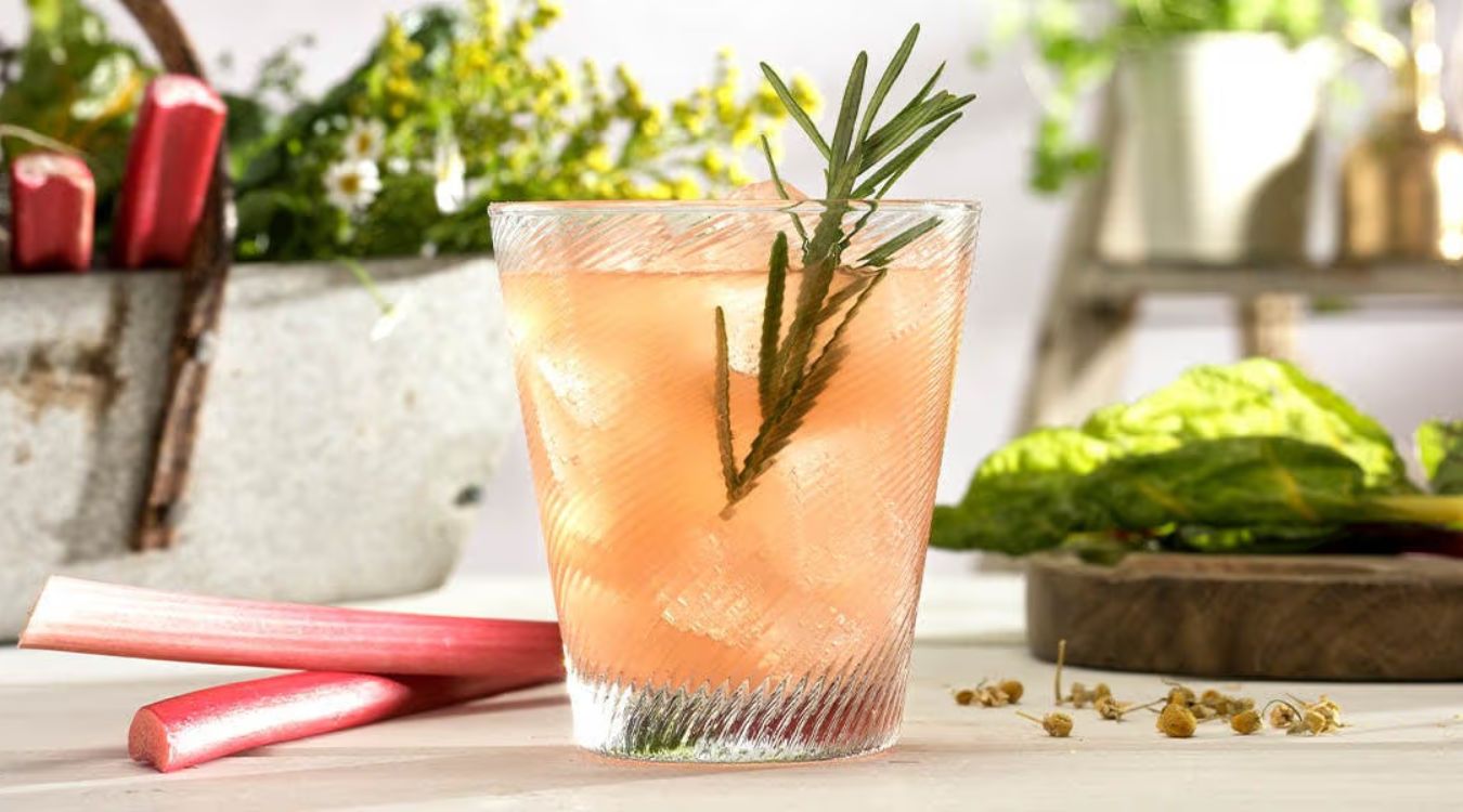 spring-garden-juice-recipe